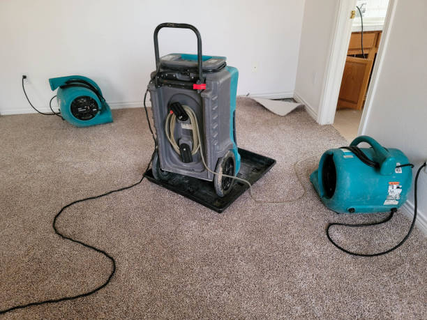 Best Flooded house restoration  in Lockland, OH