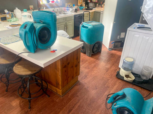 Best Basement water damage restoration  in Lockland, OH