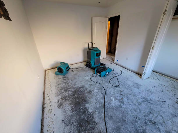 Best Local water damage restoration  in Lockland, OH