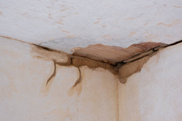 Best Water damage cleanup near me  in Lockland, OH
