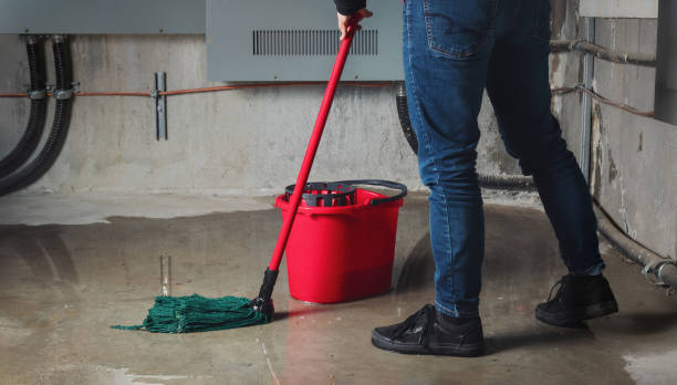 Carpet water damage restoration in Lockland, OH