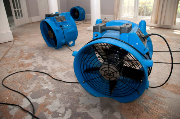  Lockland, OH Water damage restoration Pros