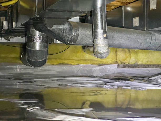 Best Commercial water damage restoration  in Lockland, OH