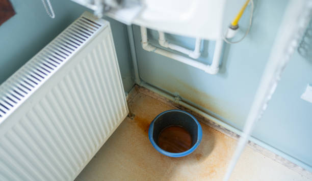 Best Ceiling water damage repair  in Lockland, OH