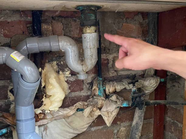Best Sewage cleanup and water damage restoration  in Lockland, OH