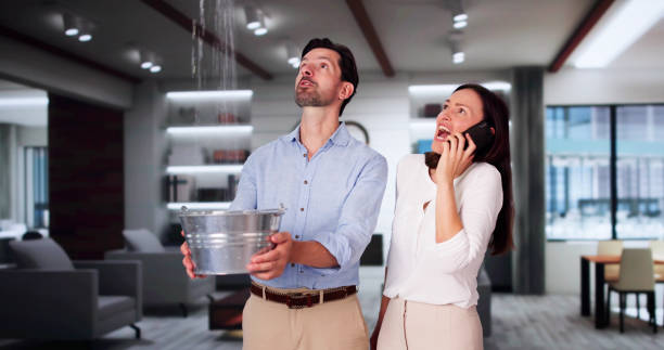 Best Water damage restoration near me  in Lockland, OH