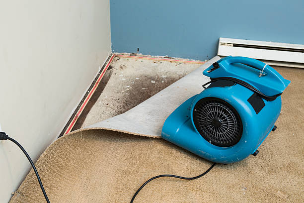 Best Residential water damage restoration  in Lockland, OH