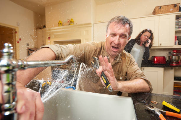 Best Flooded house restoration  in Lockland, OH